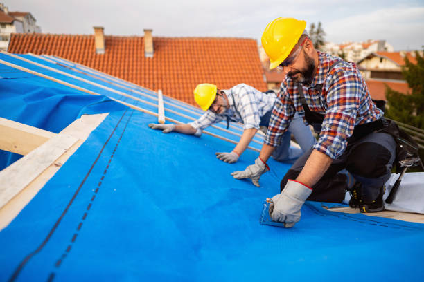 Best Roof Installation  in Roseville, MN